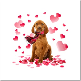 Vizsla Hearts Love Happy Valentine's Day Posters and Art